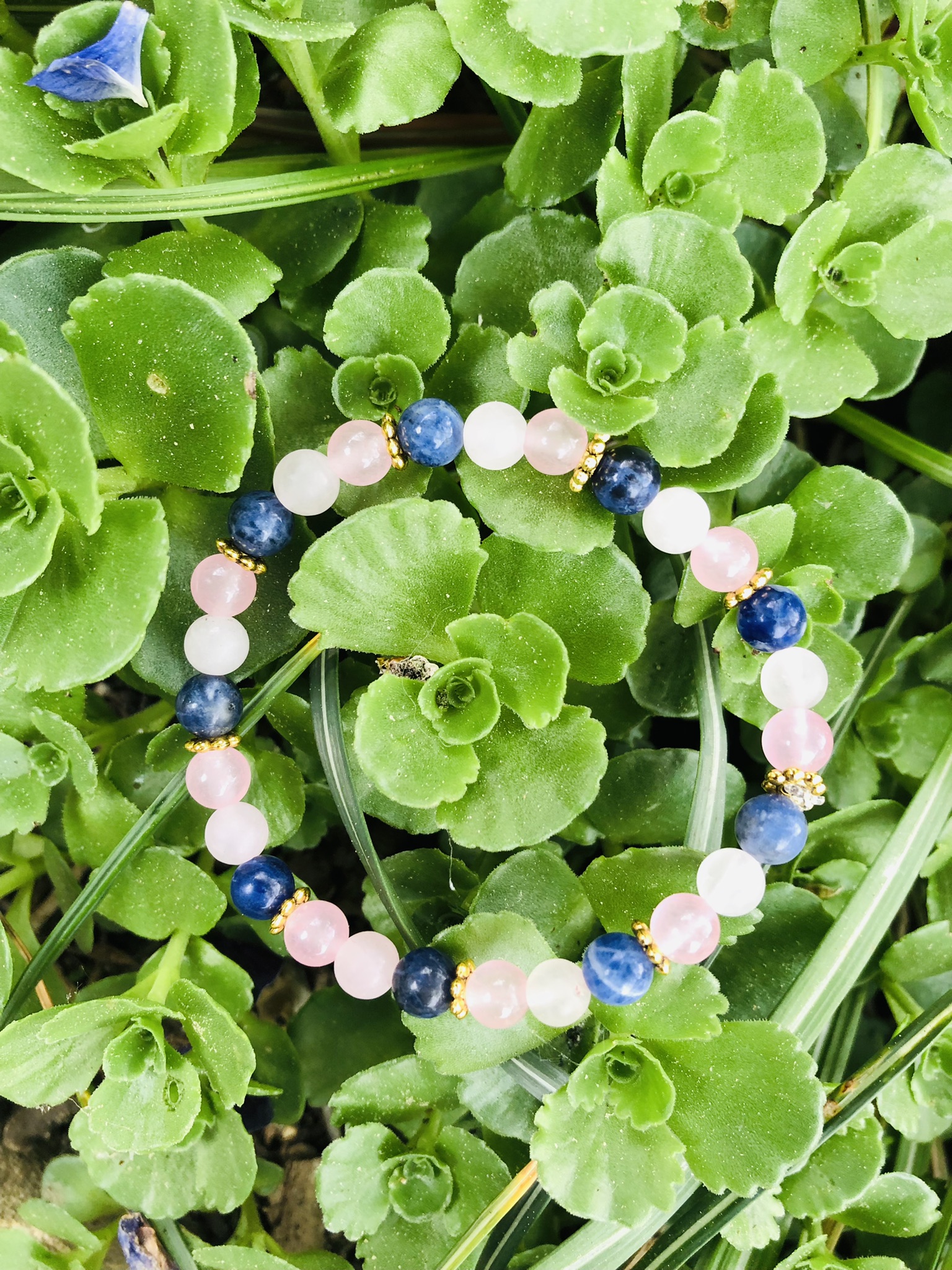 Salat rosa blau